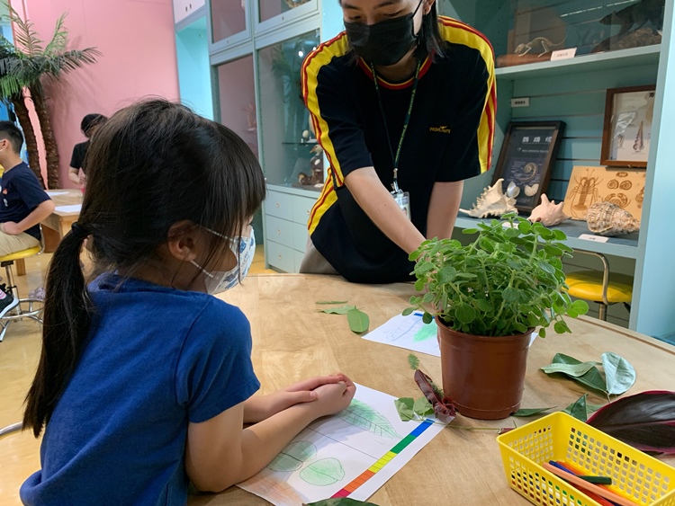 幼兒園：綠葉仙蹤(7/21-22)-圖片200