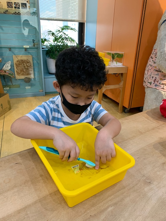 幼兒園：綠葉仙蹤(7/21-22)-圖片206