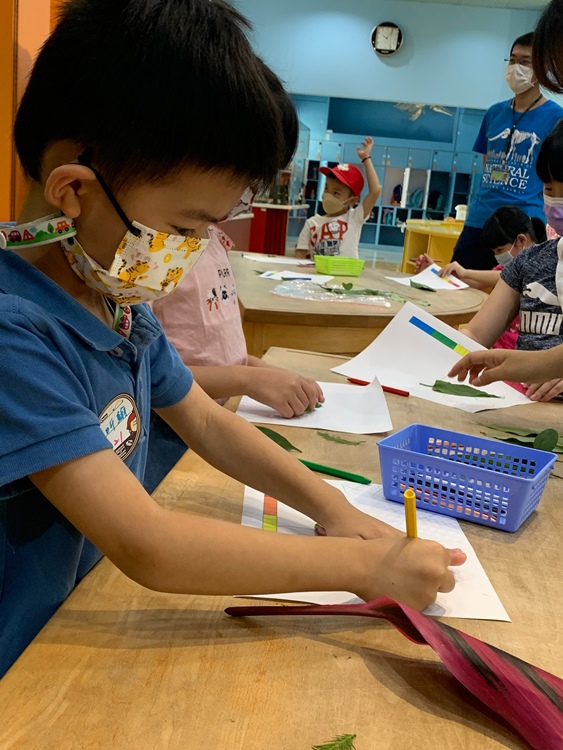 幼兒園：綠葉仙蹤(7/21-22)-圖片219