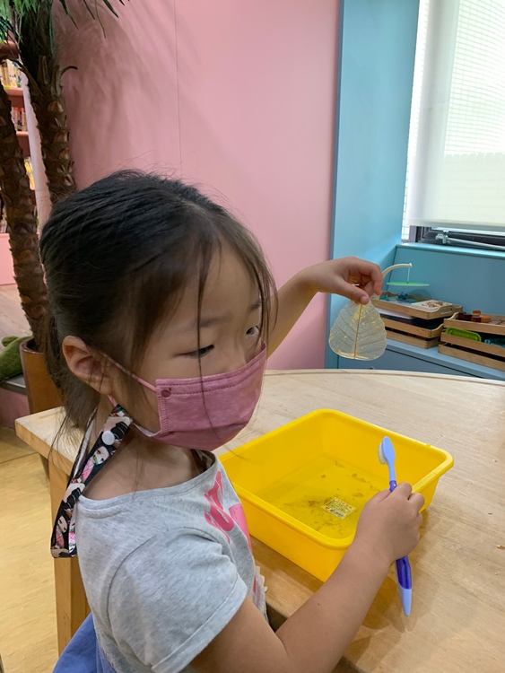 幼兒園：綠葉仙蹤(7/21-22)-圖片221