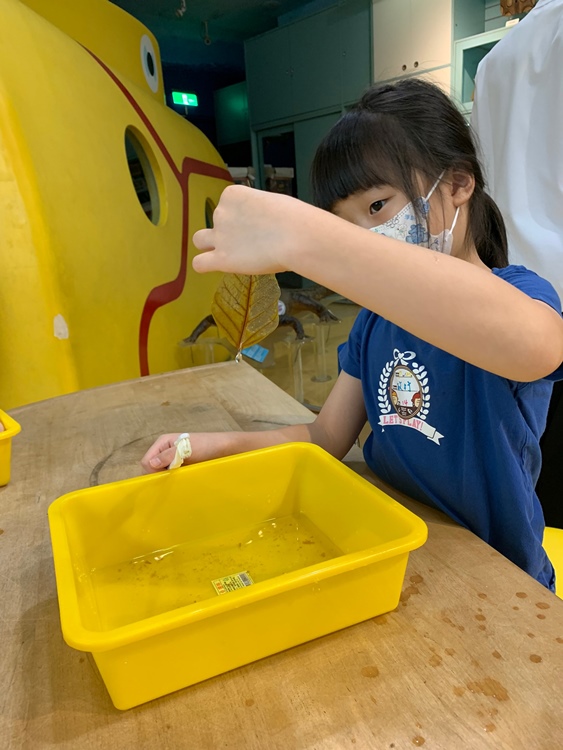 幼兒園：綠葉仙蹤(7/21-22)-圖片223