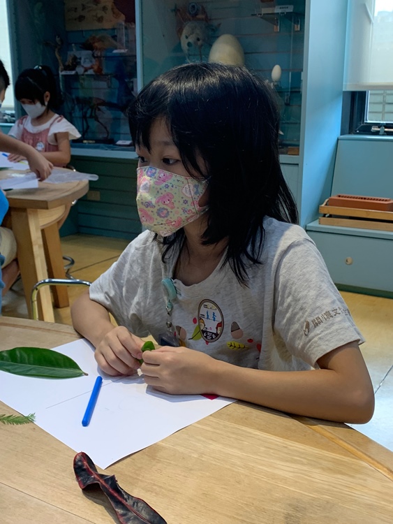 幼兒園：綠葉仙蹤(7/21-22)-圖片230