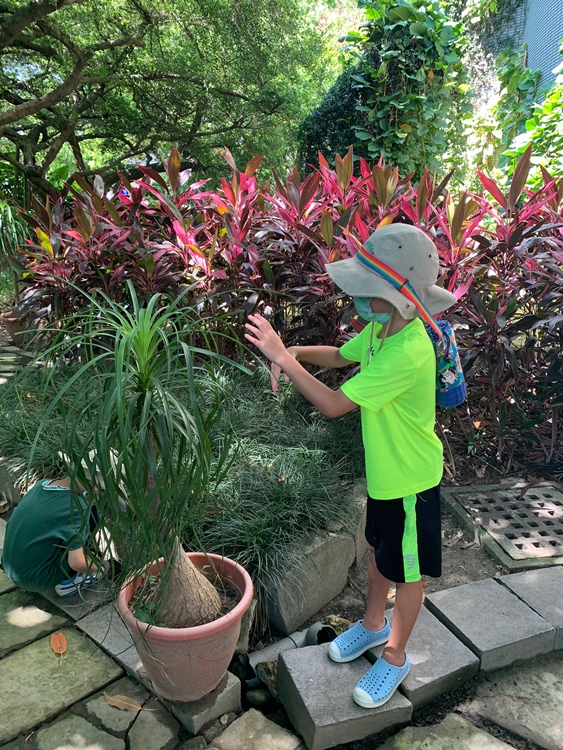 幼兒園：綠葉仙蹤(7/21-22)-圖片236