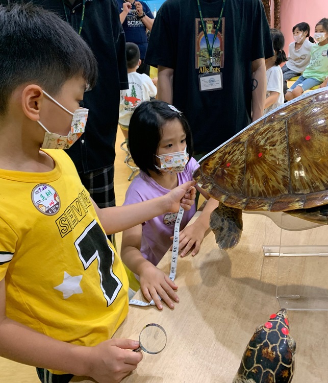 幼兒園：小海龜的超級任務(7/26-27)-圖片2