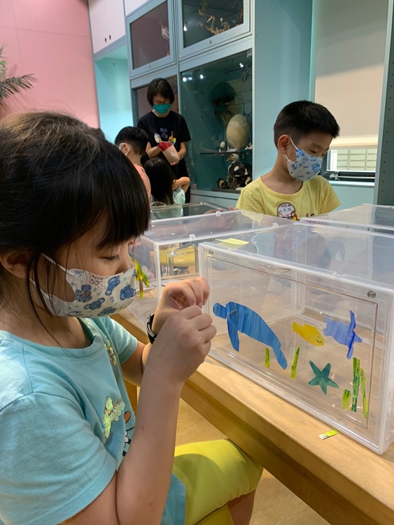 幼兒園：小海龜的超級任務(7/26-27)-圖片3