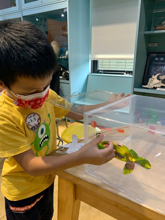 幼兒園：小海龜的超級任務(7/26-27)-圖片4