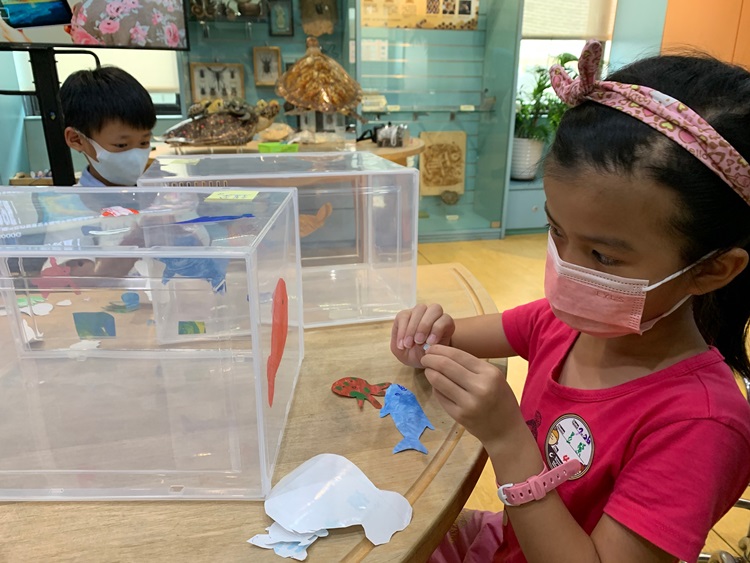 幼兒園：小海龜的超級任務(7/26-27)-圖片8