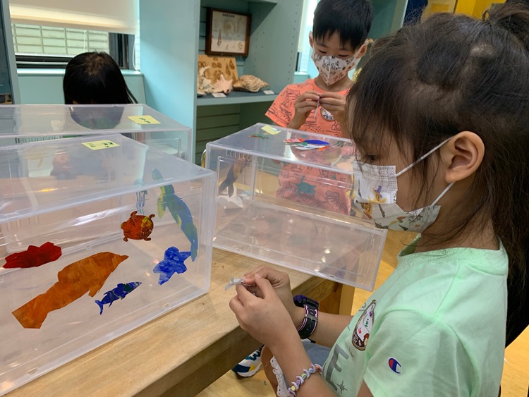 幼兒園：小海龜的超級任務(7/26-27)-圖片10