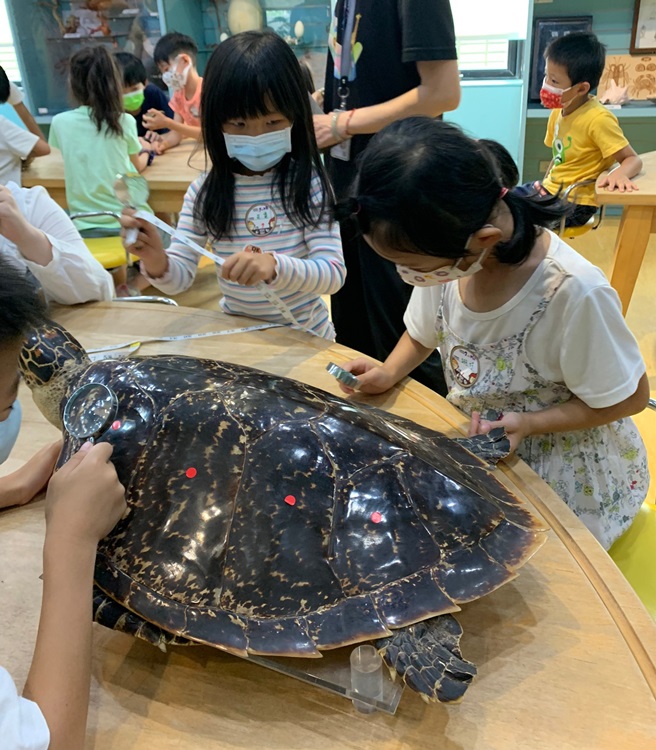 幼兒園：小海龜的超級任務(7/26-27)-圖片13