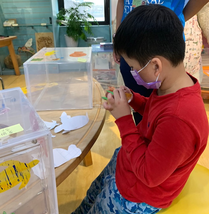 幼兒園：小海龜的超級任務(7/26-27)-圖片18