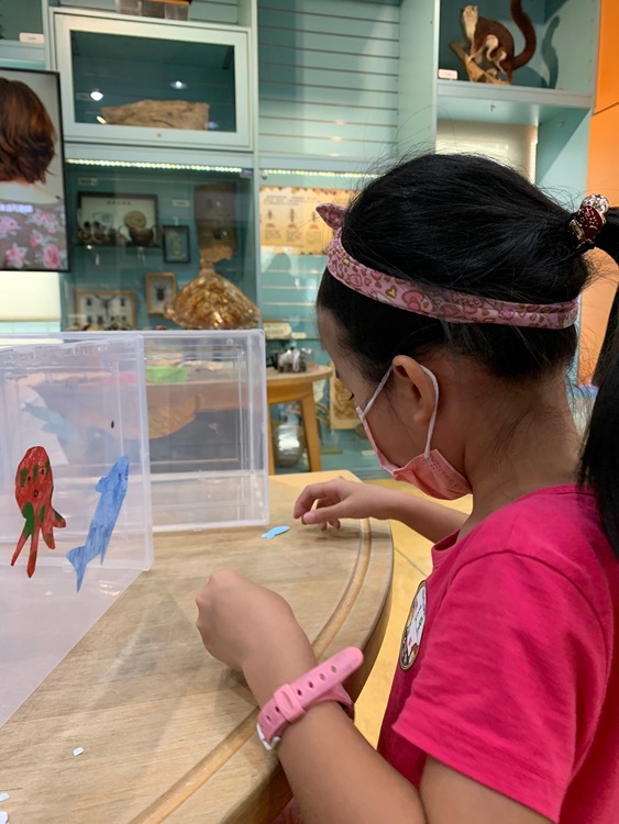 幼兒園：小海龜的超級任務(7/26-27)-圖片23