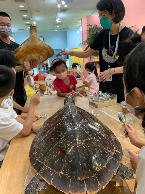 幼兒園：小海龜的超級任務(7/26-27)-圖片24