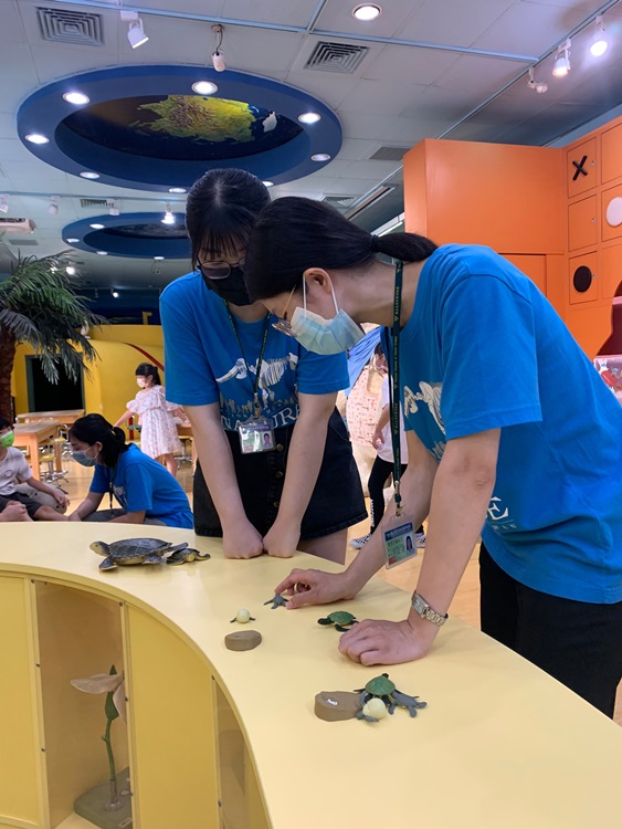 幼兒園：小海龜的超級任務(7/26-27)-圖片32
