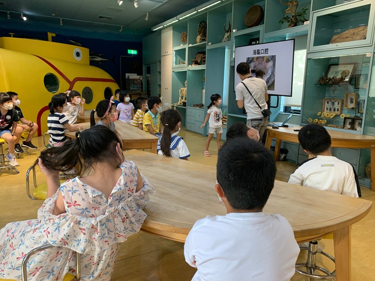 幼兒園：小海龜的超級任務(7/26-27)-圖片33
