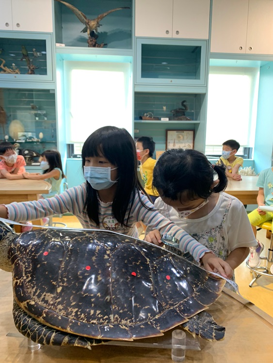 幼兒園：小海龜的超級任務(7/26-27)-圖片35
