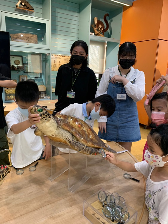 幼兒園：小海龜的超級任務(7/26-27)-圖片46