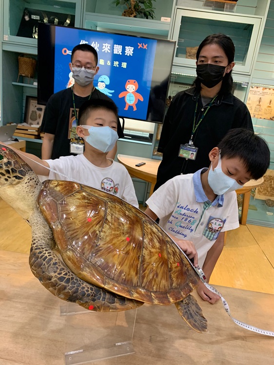 幼兒園：小海龜的超級任務(7/26-27)-圖片57