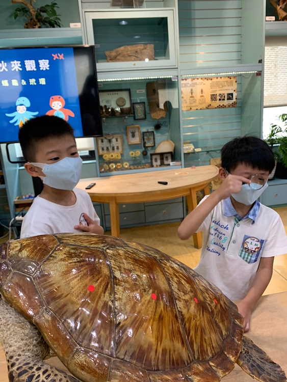 幼兒園：小海龜的超級任務(7/26-27)-圖片68