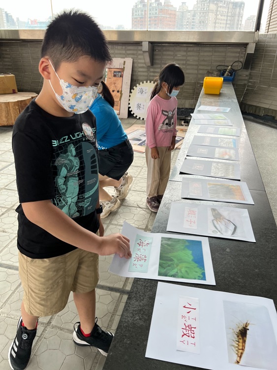 幼兒園：小海龜的超級任務(7/26-27)-圖片71