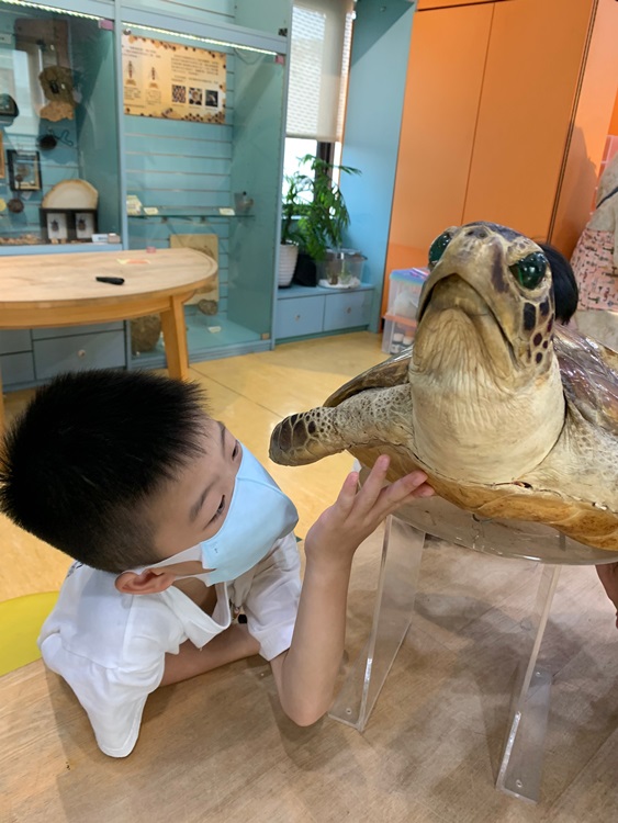 幼兒園：小海龜的超級任務(7/26-27)-圖片79