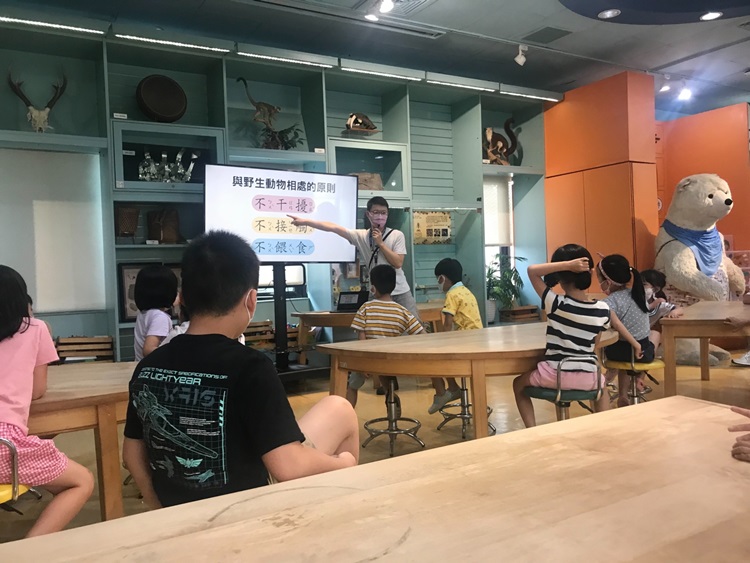 幼兒園：小海龜的超級任務(7/26-27)-圖片88