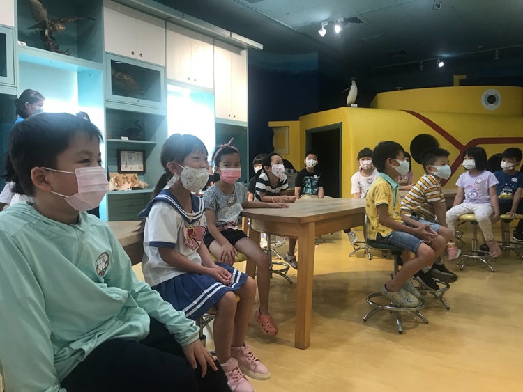 幼兒園：小海龜的超級任務(7/26-27)-圖片89