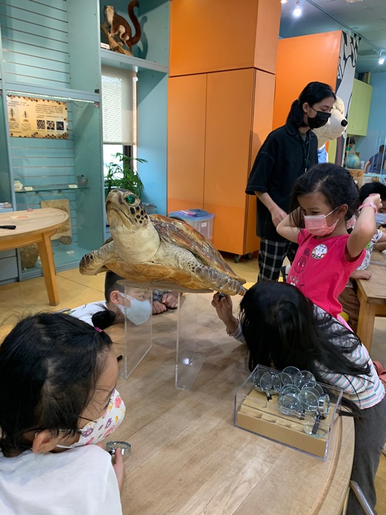 幼兒園：小海龜的超級任務(7/26-27)-圖片90