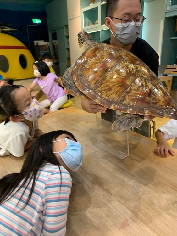 幼兒園：小海龜的超級任務(7/26-27)-圖片101