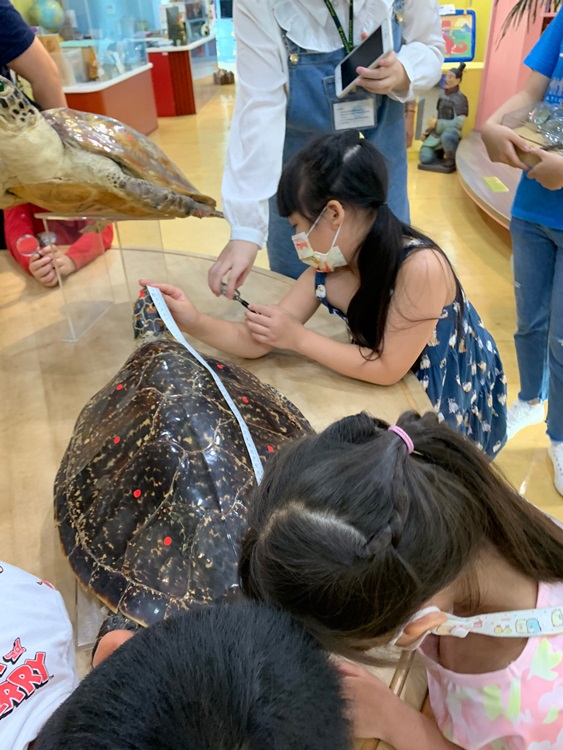 幼兒園：小海龜的超級任務(7/26-27)-圖片104