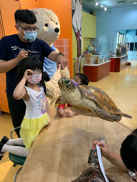 幼兒園：小海龜的超級任務(7/26-27)-圖片105