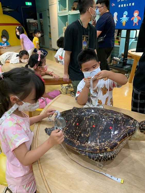 幼兒園：小海龜的超級任務(7/26-27)-圖片106