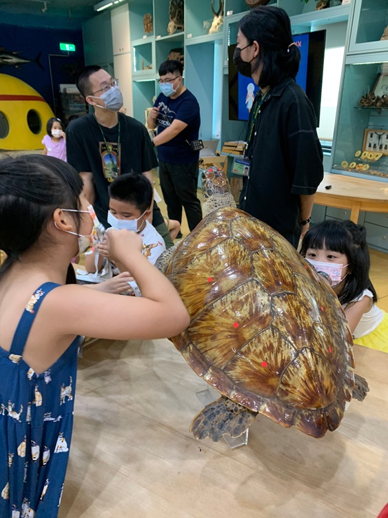 幼兒園：小海龜的超級任務(7/26-27)-圖片107