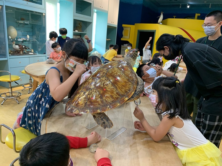 幼兒園：小海龜的超級任務(7/26-27)-圖片108