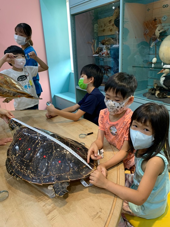 幼兒園：小海龜的超級任務(7/26-27)-圖片109