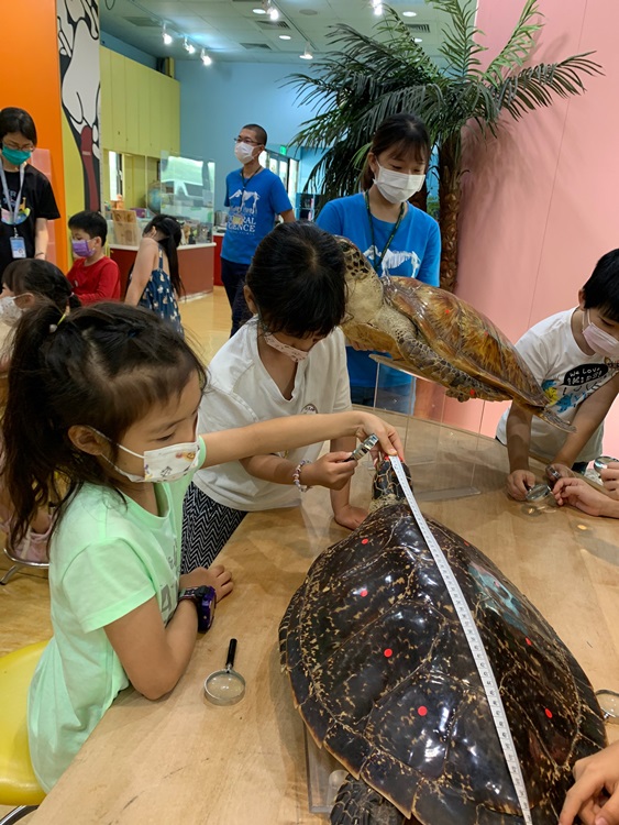 幼兒園：小海龜的超級任務(7/26-27)-圖片110