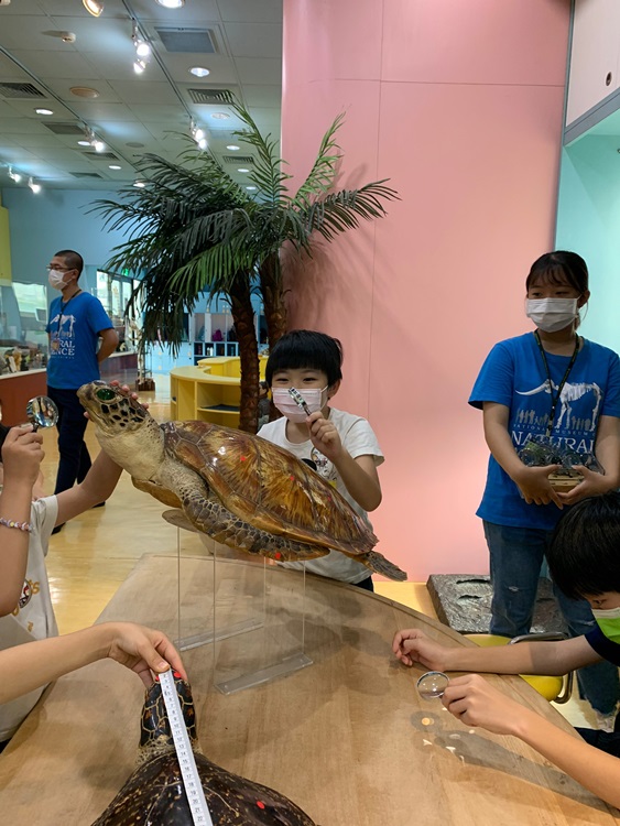 幼兒園：小海龜的超級任務(7/26-27)-圖片111