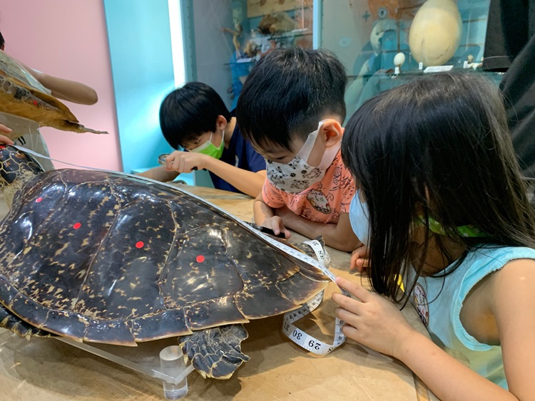 幼兒園：小海龜的超級任務(7/26-27)-圖片112