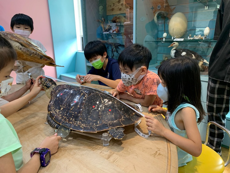 幼兒園：小海龜的超級任務(7/26-27)-圖片113