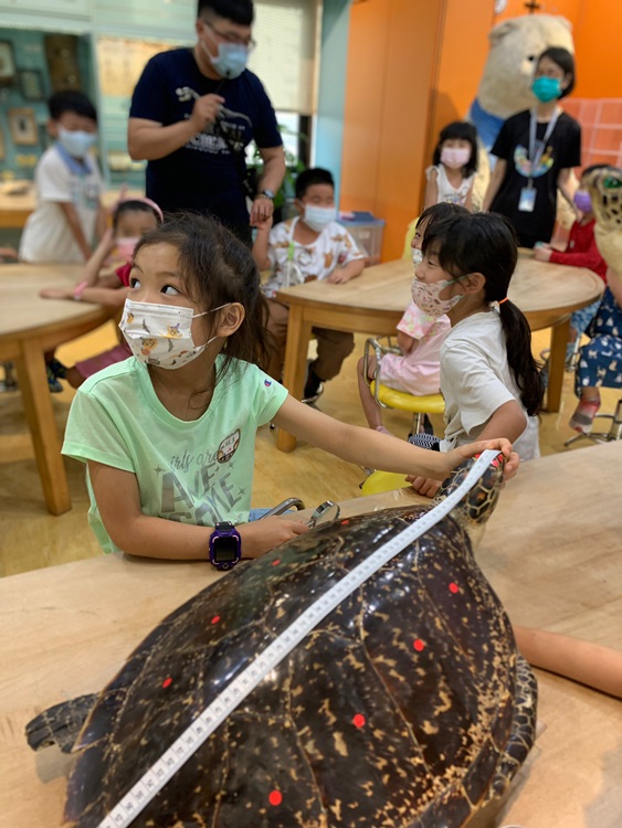 幼兒園：小海龜的超級任務(7/26-27)-圖片116