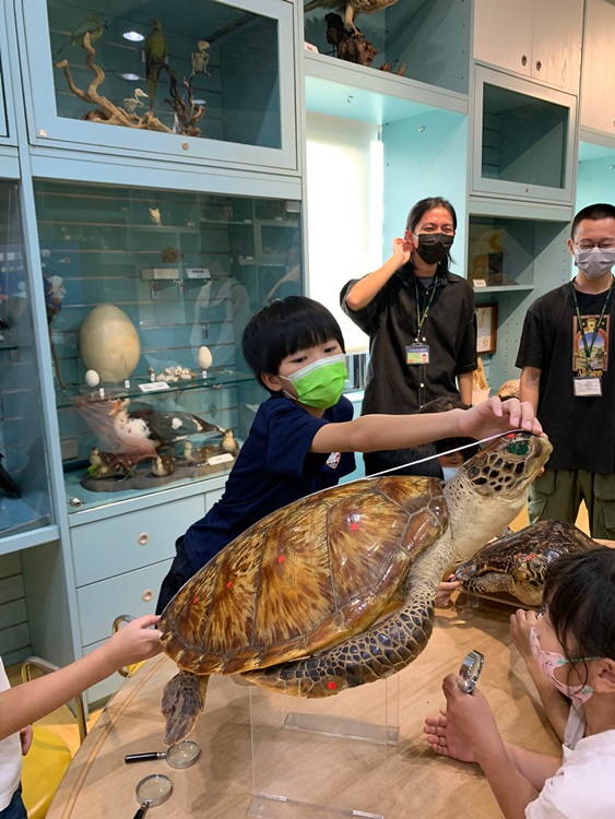 幼兒園：小海龜的超級任務(7/26-27)-圖片117