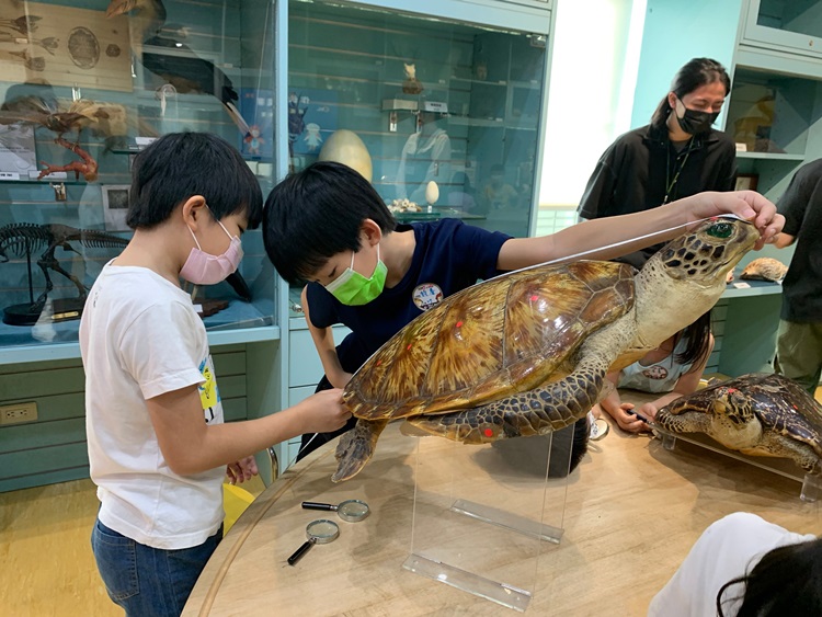 幼兒園：小海龜的超級任務(7/26-27)-圖片118