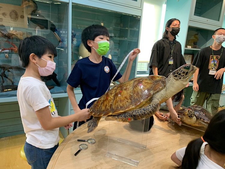 幼兒園：小海龜的超級任務(7/26-27)-圖片119