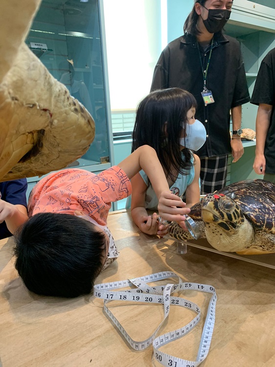 幼兒園：小海龜的超級任務(7/26-27)-圖片120