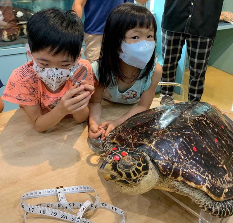 幼兒園：小海龜的超級任務(7/26-27)-圖片121