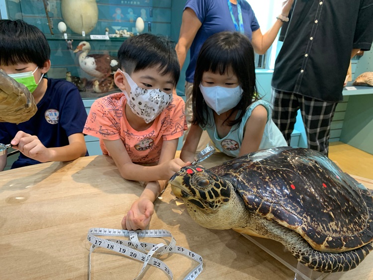 幼兒園：小海龜的超級任務(7/26-27)-圖片122