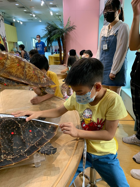 幼兒園：小海龜的超級任務(7/26-27)-圖片123