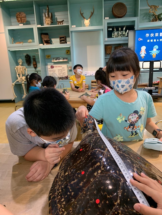 幼兒園：小海龜的超級任務(7/26-27)-圖片124