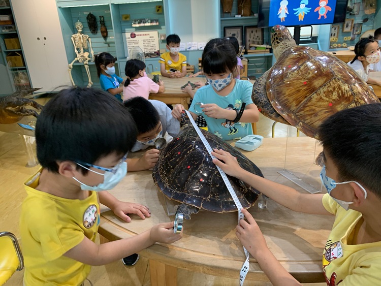 幼兒園：小海龜的超級任務(7/26-27)-圖片126