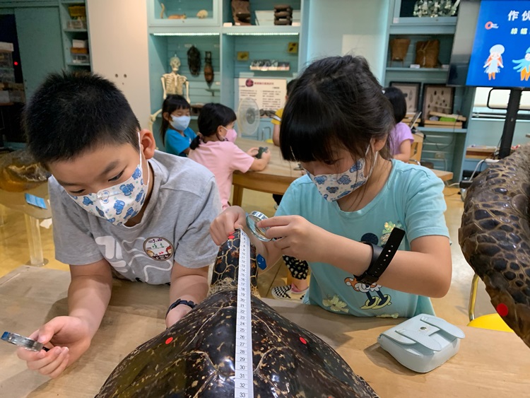 幼兒園：小海龜的超級任務(7/26-27)-圖片127