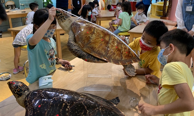 幼兒園：小海龜的超級任務(7/26-27)-圖片128